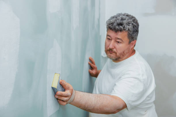 Best Post-Construction Mold Inspection  in Troutdale, OR